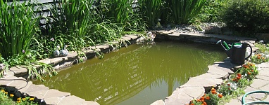 Благоустройство территории